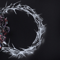 Rose, The Dual -dusk Versie-