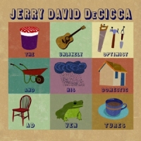 Decicca, Jerry David Unlikely Optimist And His Domestic Adventures