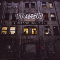 Mesh A Perfect Solution