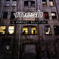Mesh A Perfect Solution (box)