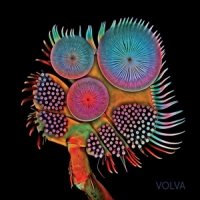 Echolot Volva