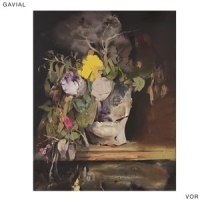 Gavial Vor