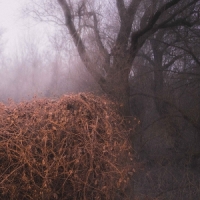 Devils Trade, The Nincs Szennyezetlen Szep