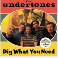 Undertones Dig What You Need