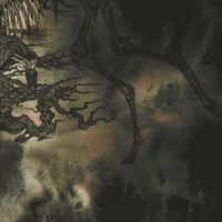 Bitterness Exhumed A Place Of Many Ghosts