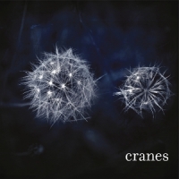 Cranes Cranes -coloured-