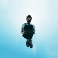 Vic Willems Meester Van Niks