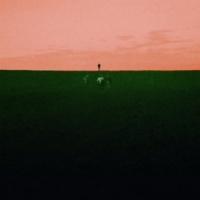 Dust Covered Carpet Witness Me Pass Out