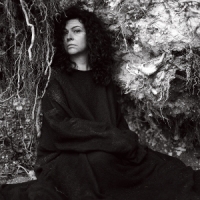 Paulusma, Polly The Wildfires Tapes