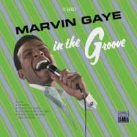 Gaye, Marvin In The Groove (180gr&download)
