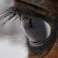 Head On Stone Stony Beds