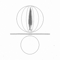 O Malley, Stephen Spheres Collapser
