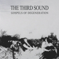 Third Sound Gospels Of Degeneration (clear)
