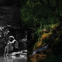 Myrddin & Imre Zwaluwe