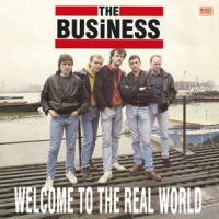 Business Welcome To The Real World