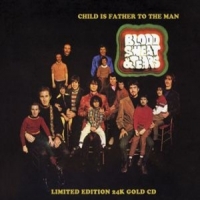 Blood, Sweat & Tears Child Is Father To..(24k Gold Cd)