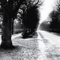 Theo Travis Slow Life