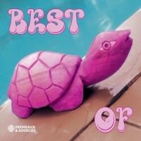 Pink Turtle Best Of