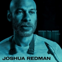 Redman, Joshua Words Fall Short