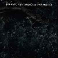 Teardo, Teho Plays Twin Peaks And Other Infiniti