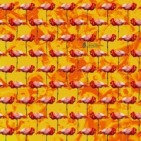 Elephant Chateau Dreamings & Offshore Driling - Pear