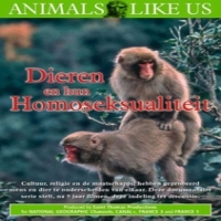 Documentary Dieren En Hun Homoseksual