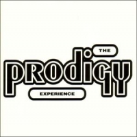 Prodigy Experience