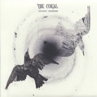 Coral, The Distance Inbetween -digi-