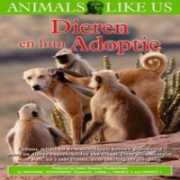 Documentary Dieren En Hun Adoptie
