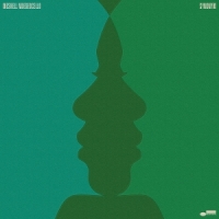 Ndegeocello, Meshell Synonym