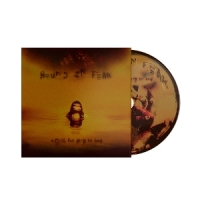 Bound In Fear A Mind Too Sick To Heal