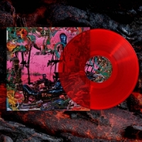 Black Midi Hellfire (limited Rood)