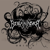 Borknagar Origin (red)
