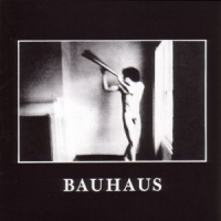 Bauhaus In The Flat Field
