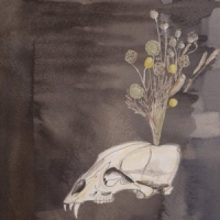 Gunn, Steve & Black Twig Pickers Seasonal Hire (clear)