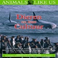 Documentary Dieren En Hun Cultuur