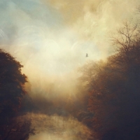 Stray Theories This Light