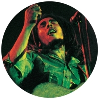 Marley, Bob Soul Of A Rebel -picture Disc-