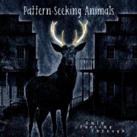 Pattern-seeking Animals Only Passing Through (lp+cd)