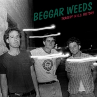 Beggar Weeds Tragedy In U.s. History