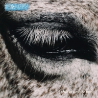 Smag Pa Dig Selv This Is Why We Lost