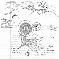 Woods / Amps For Christ Split