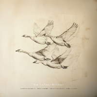 Near The Pond Wild Geese