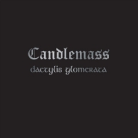 Candlemass Dactylis Glomerata