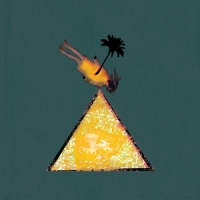 Melt Yourself Down Live At The New