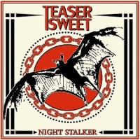 Teaser Sweet Night Stalker