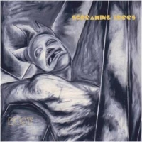 Screaming Trees Dust