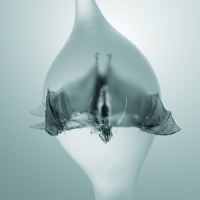 Unprocessed Angel -coloured-