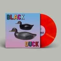 Black Duck Black Duck (orange)