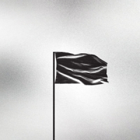 Nothing Guilty Of Everything -coloured-